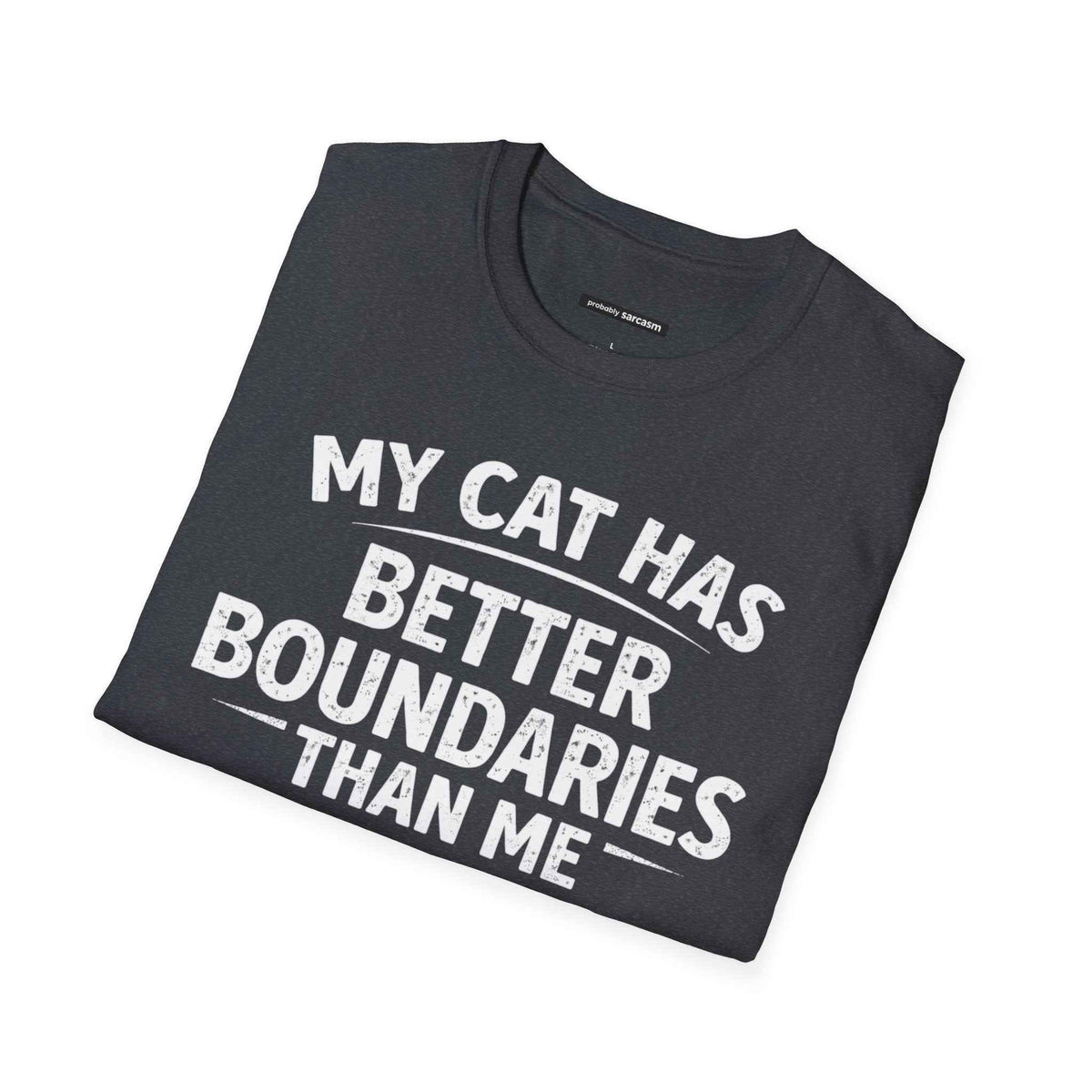 MY CAT HAS BETTER BOUNDARIES THAN ME