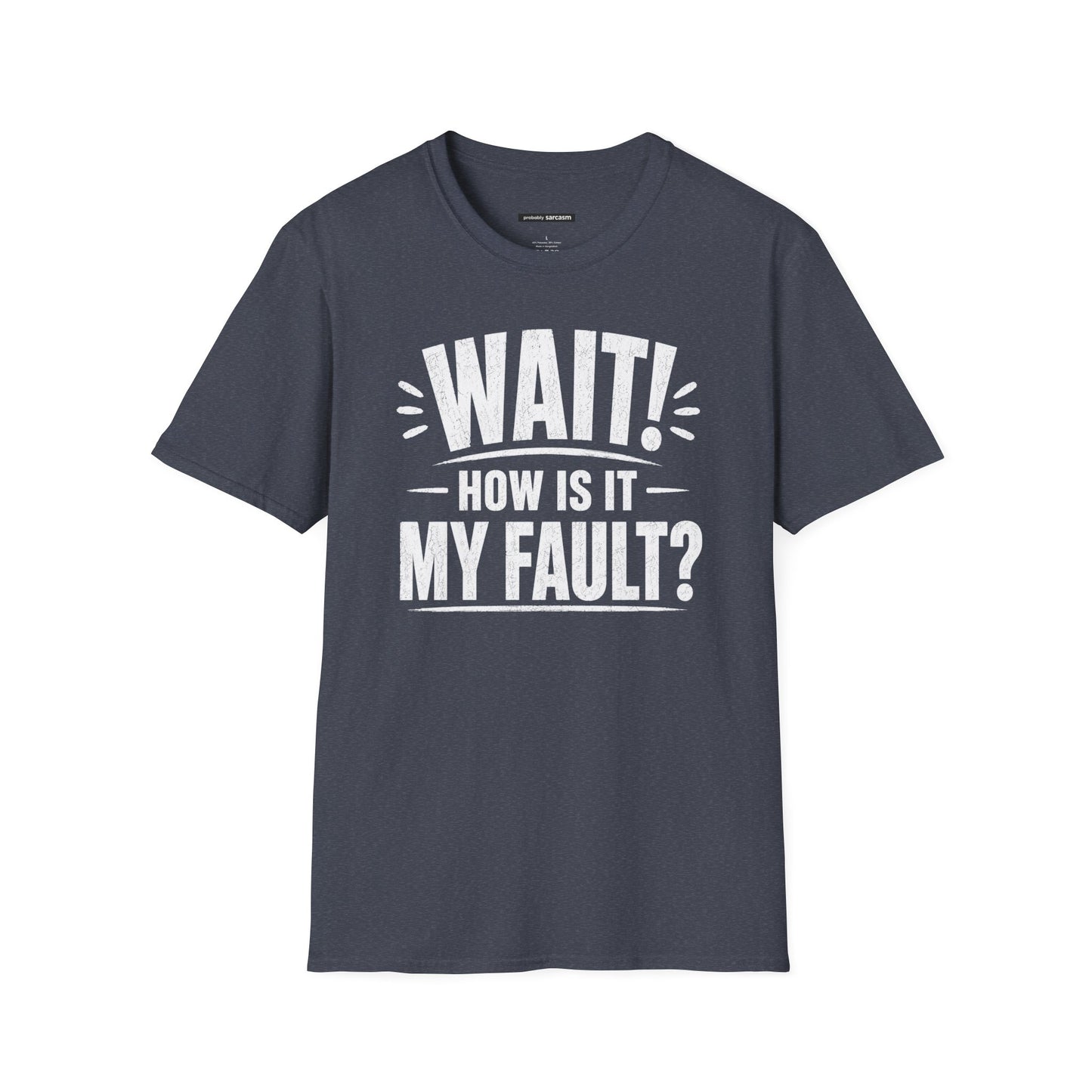 "Wait! How Is It My Fault?"