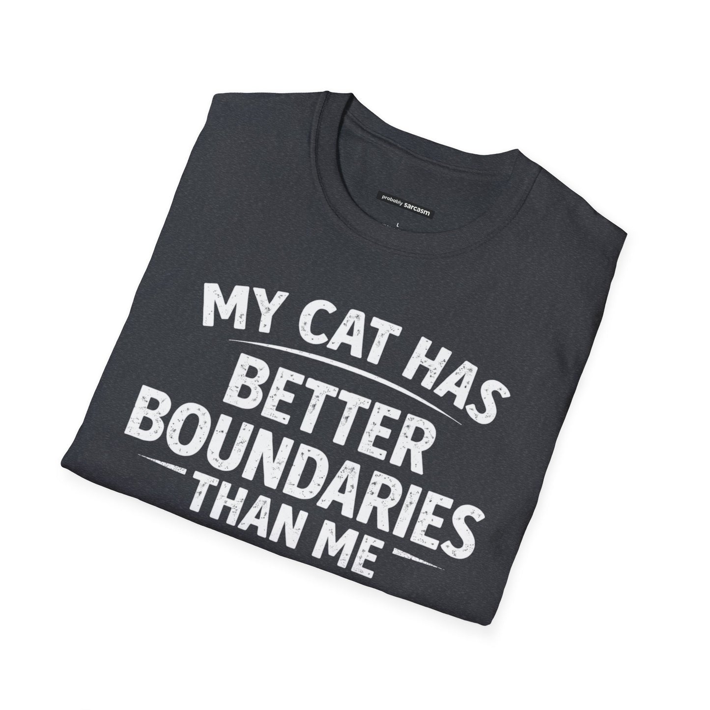 MY CAT HAS BETTER BOUNDARIES THAN ME