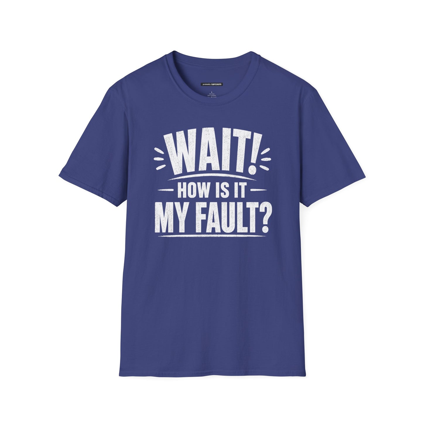 "Wait! How Is It My Fault?"