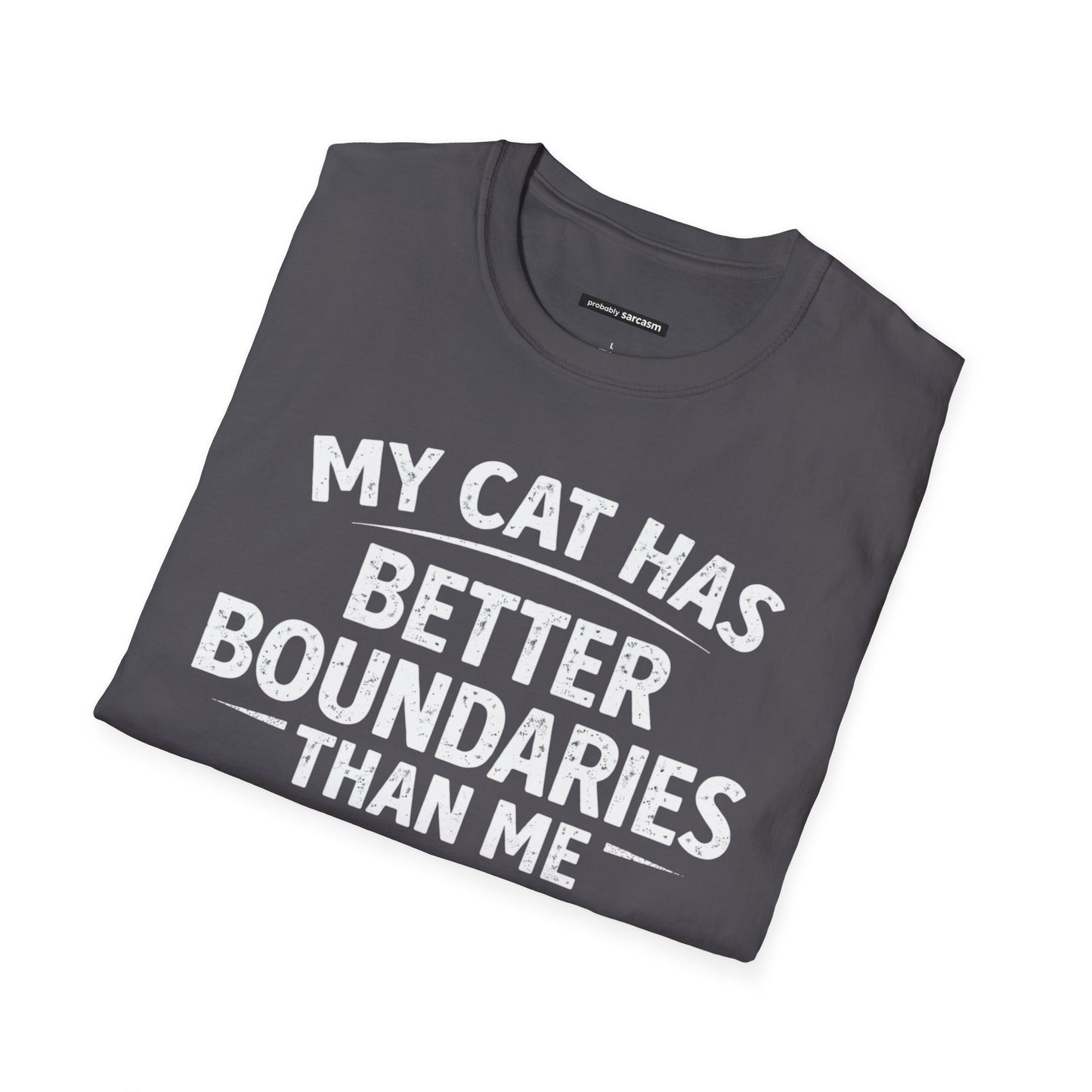 MY CAT HAS BETTER BOUNDARIES THAN ME