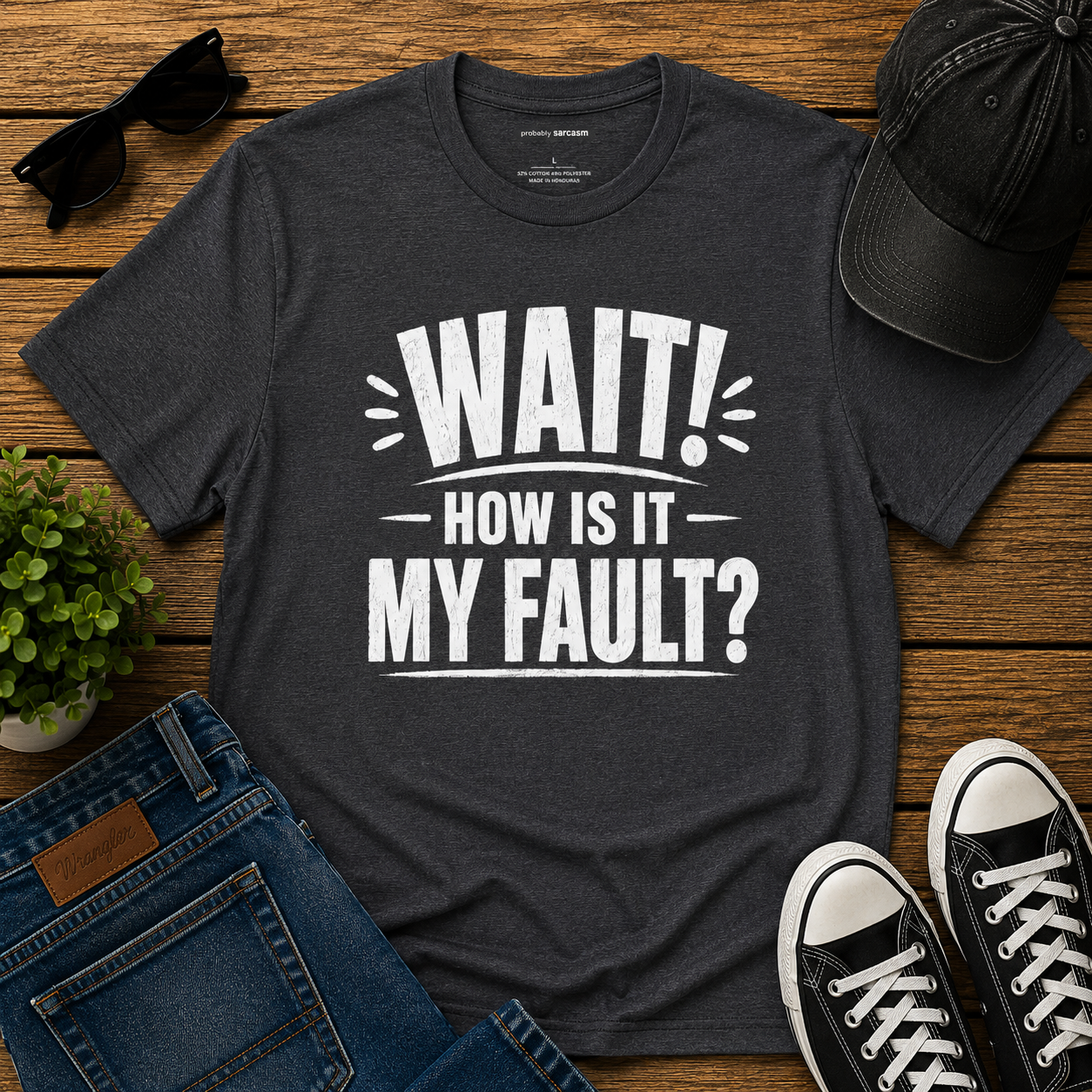 "Wait! How Is It My Fault?"