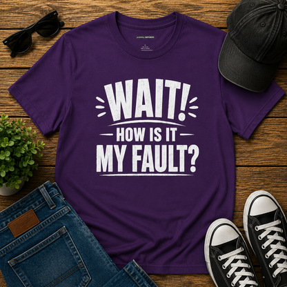 "Wait! How Is It My Fault?"