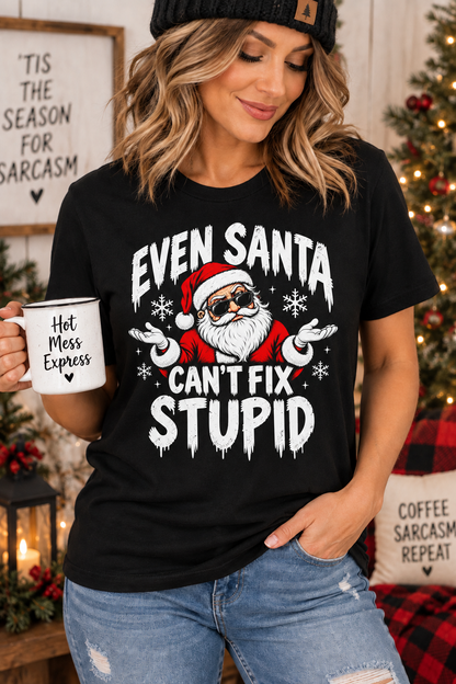 Even Santa Can’t Fix Stupid