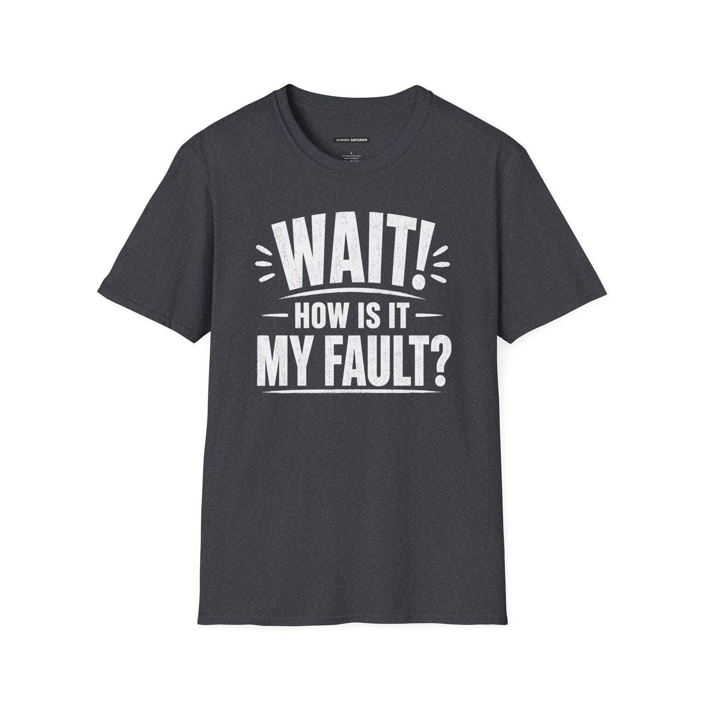 "Wait! How Is It My Fault?"