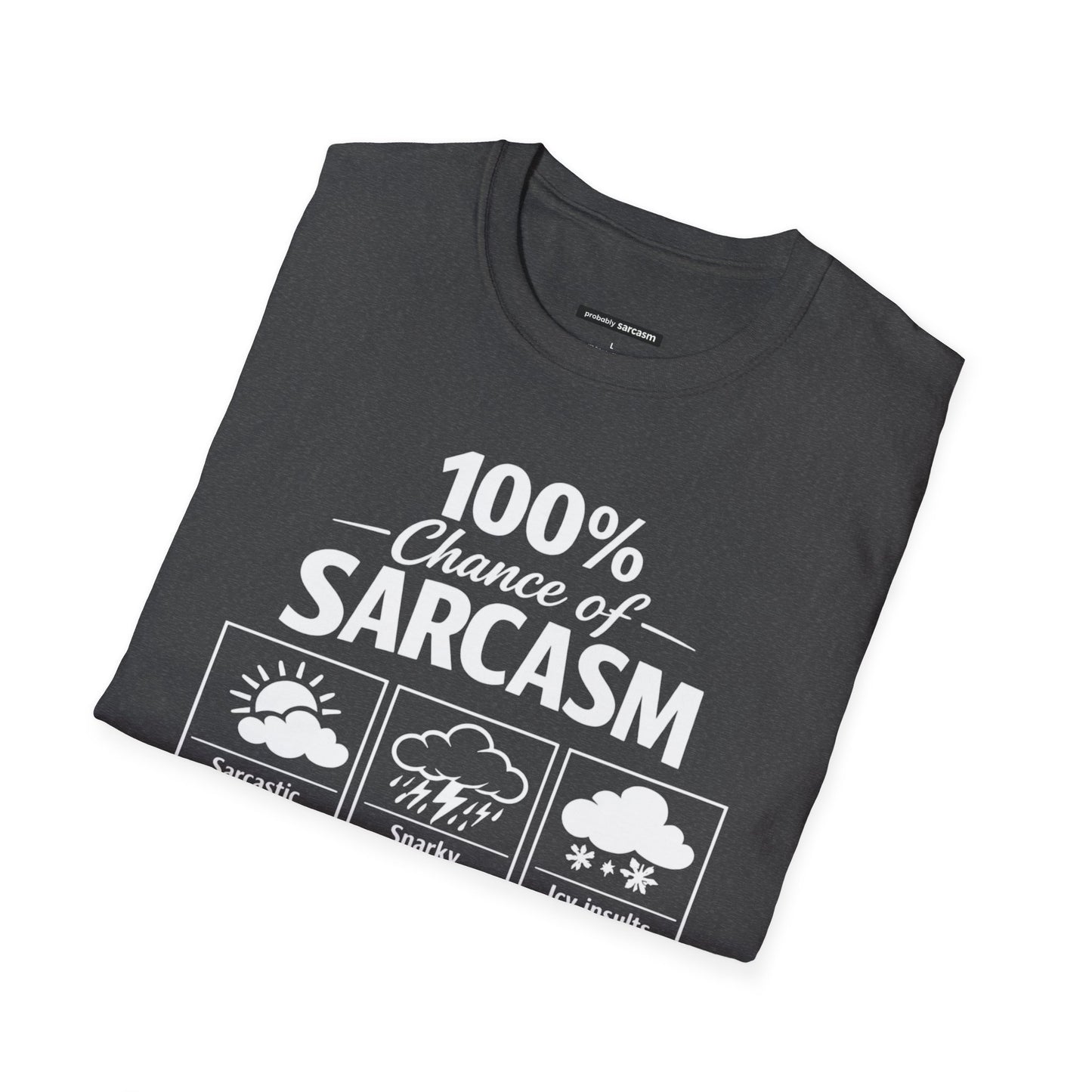 100% Chance of Sarcasm