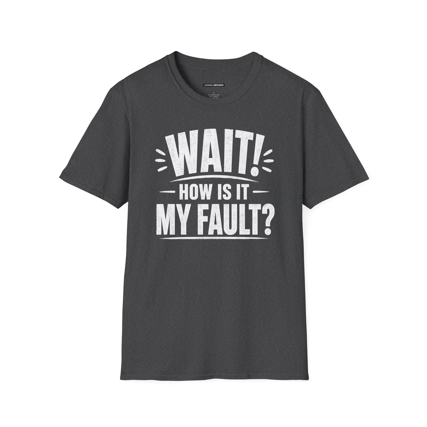 "Wait! How Is It My Fault?"