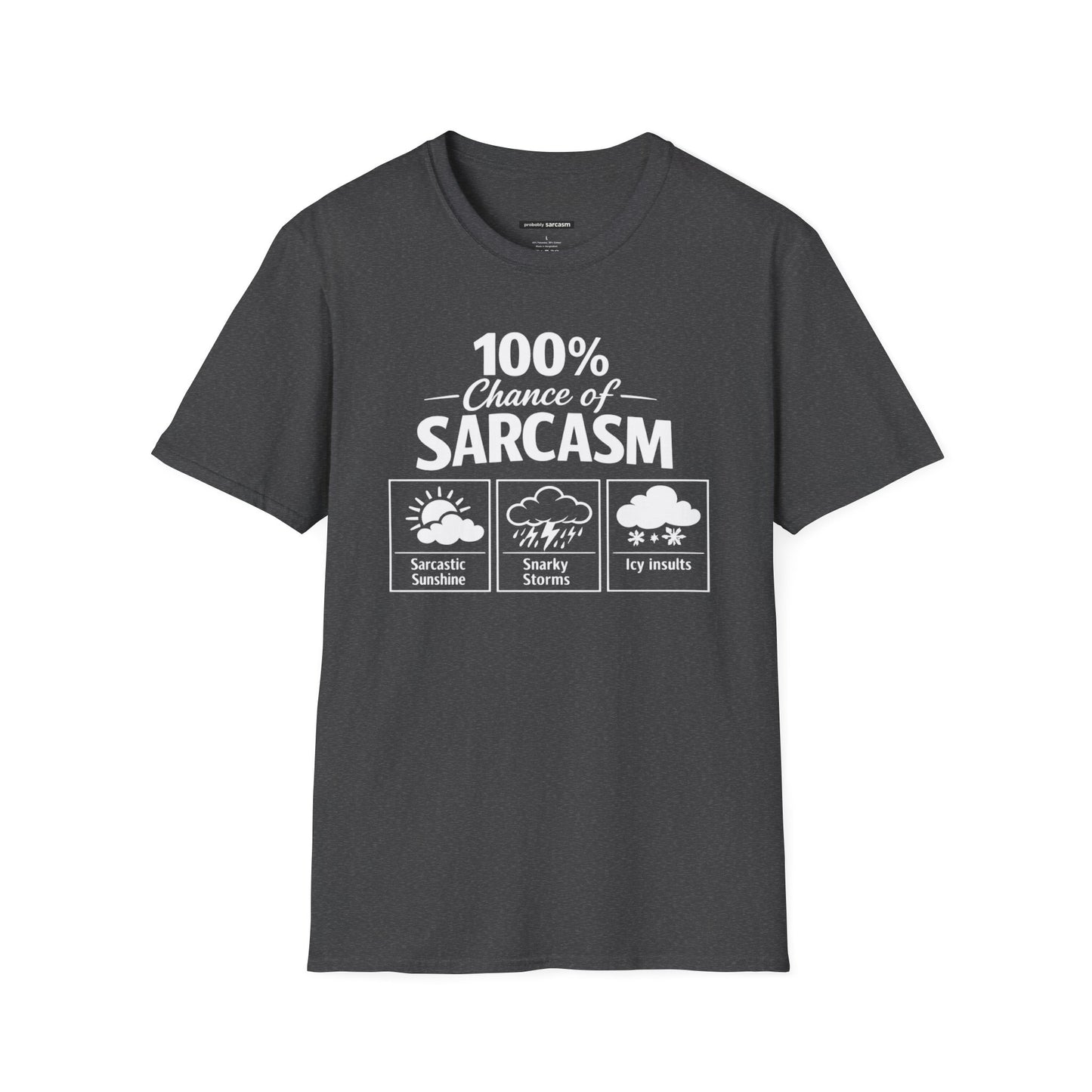100% Chance of Sarcasm