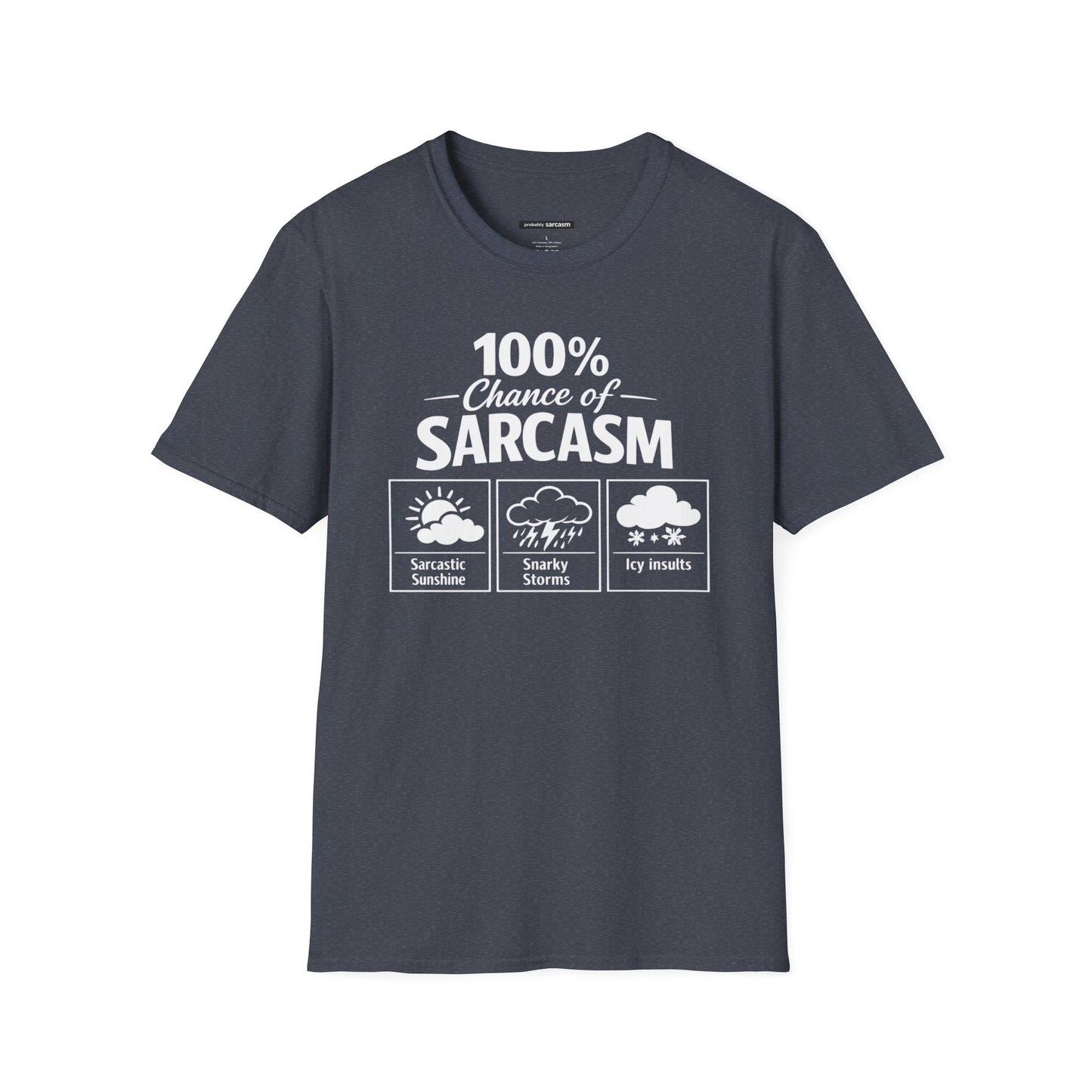 100% Chance of Sarcasm