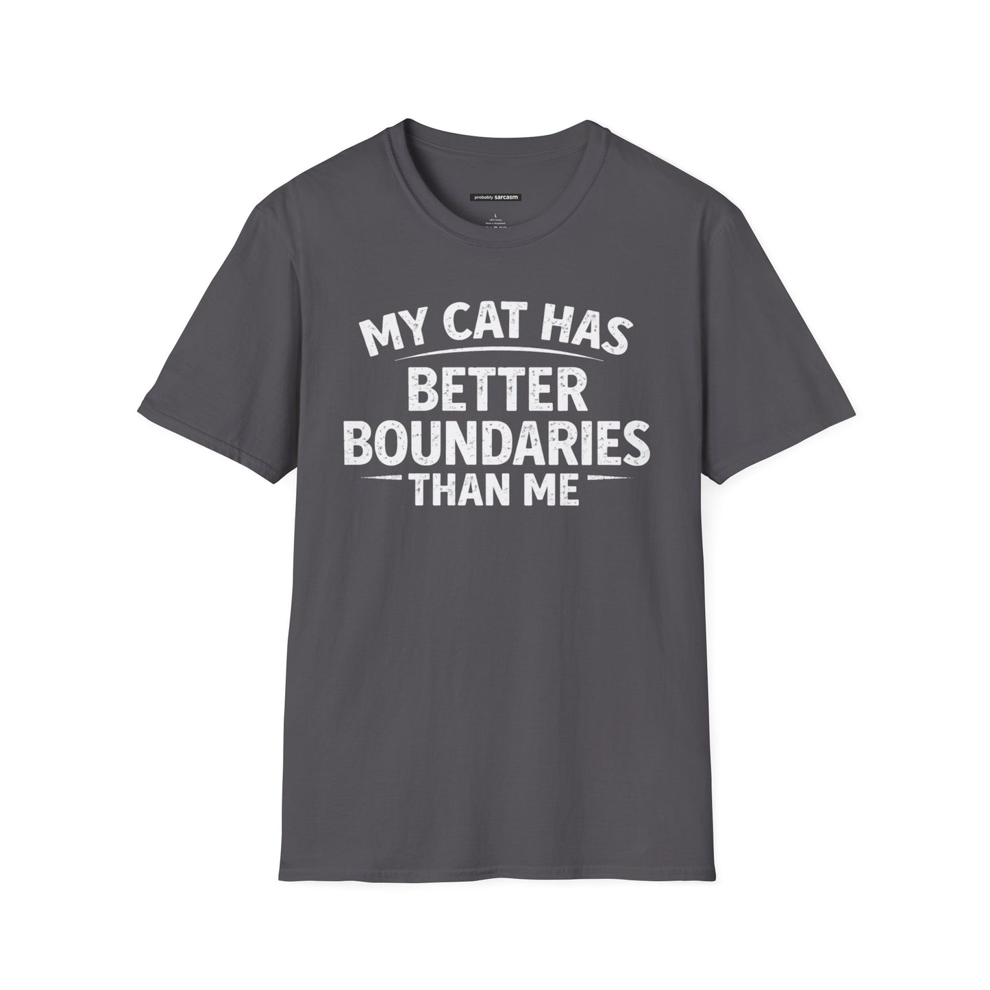 MY CAT HAS BETTER BOUNDARIES THAN ME