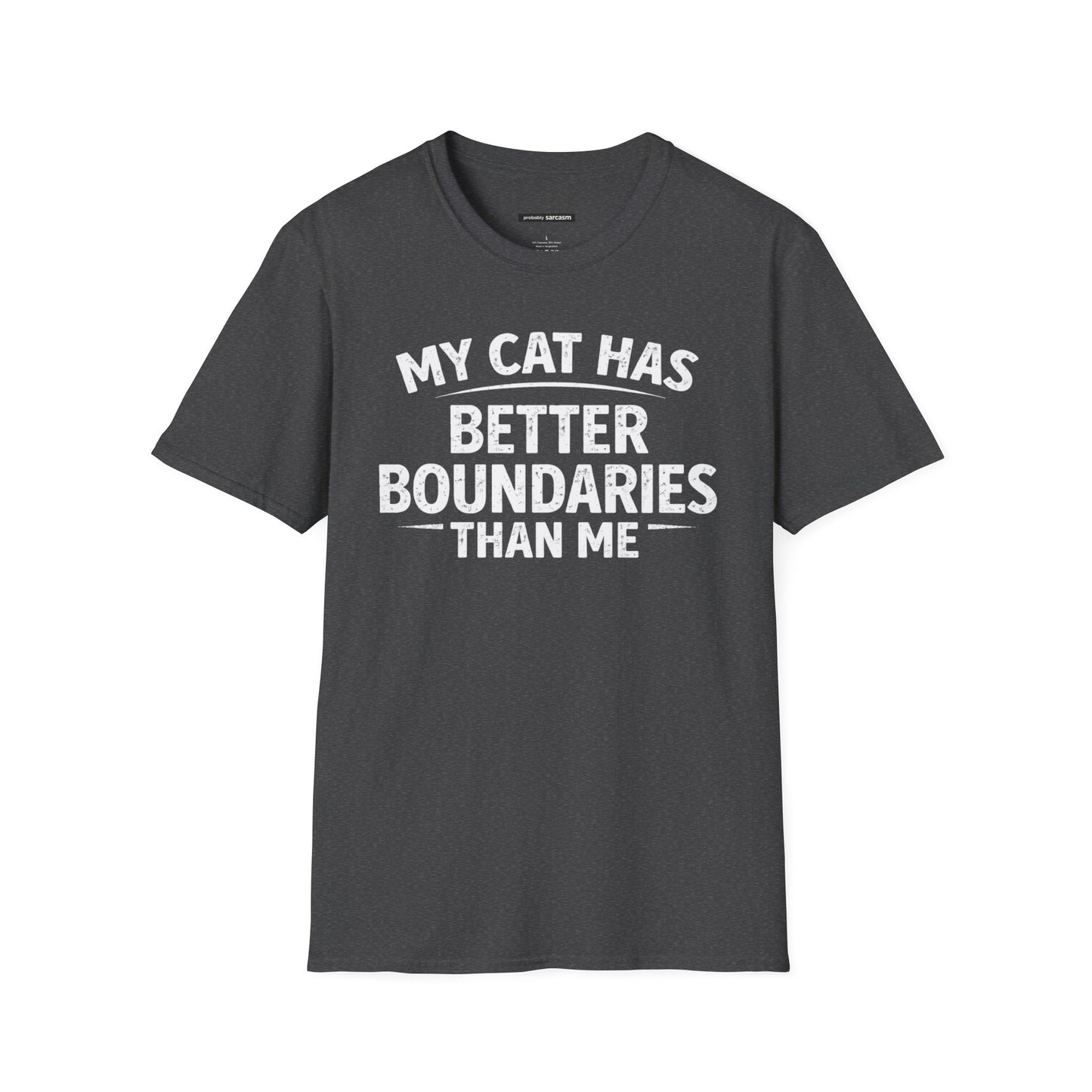 MY CAT HAS BETTER BOUNDARIES THAN ME