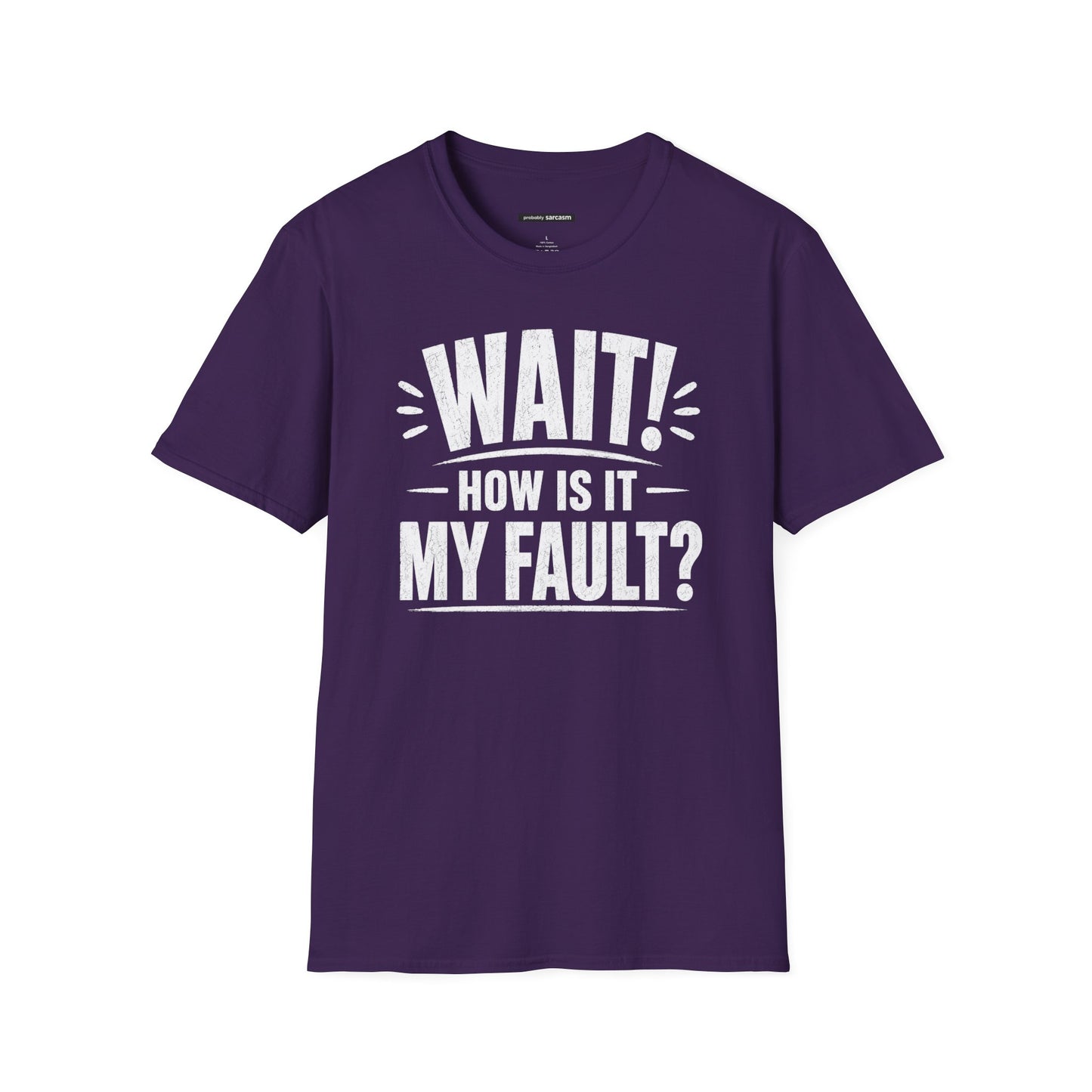 "Wait! How Is It My Fault?"