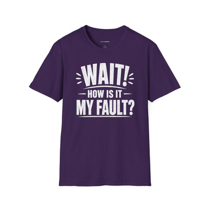 "Wait! How Is It My Fault?"